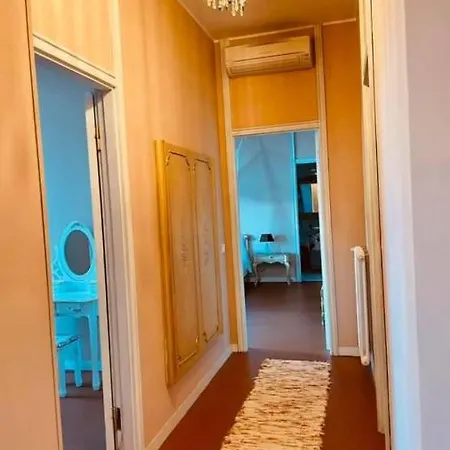 فيلة Tanya